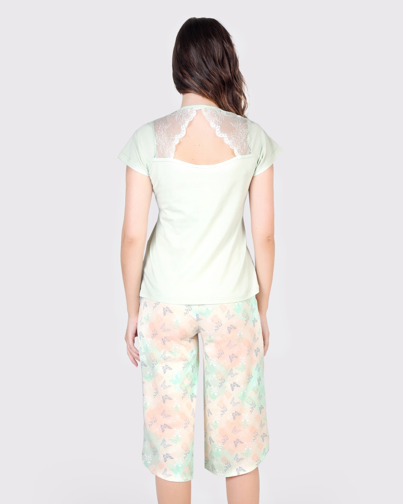 S24 J&amp;A Colorful 8210 Premoda