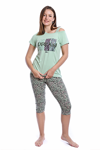 S23 J&amp;A Cheetah 8293 premoda