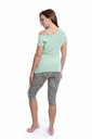 S23 J&amp;A Cheetah 8293 premoda