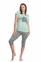 S23 J&A Cheetah 8293 premoda